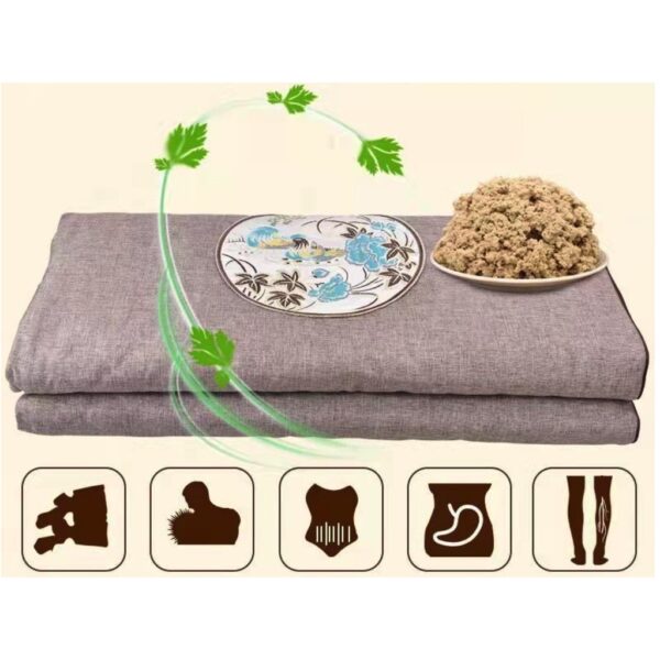 Thảm ngải cứu Massage tại nhà - Đệm điện ngải cứu trị đau lưng hàng chuẩn điều khiển tiếng việt
