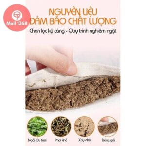 Thảm ngải cứu Massage tại nhà - Đệm điện ngải cứu trị đau lưng hàng chuẩn điều khiển tiếng việt
