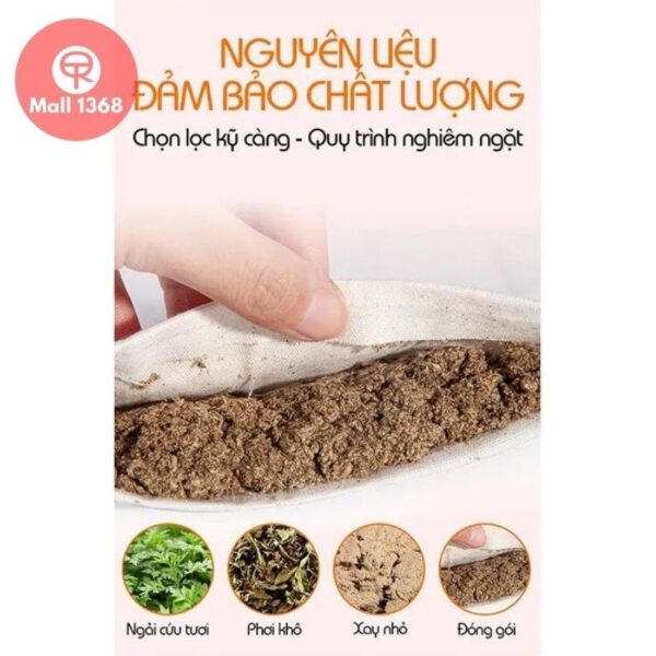Thảm ngải cứu Massage tại nhà - Đệm điện ngải cứu trị đau lưng hàng chuẩn điều khiển tiếng việt