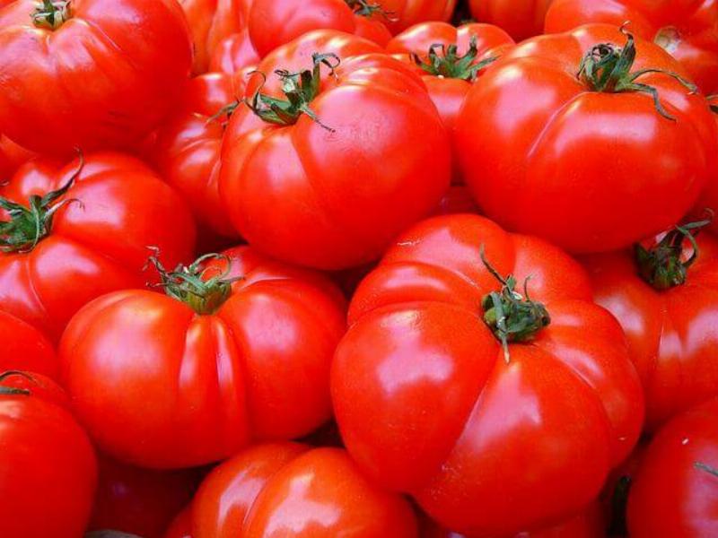Ăn cà chua nhiều có tốt không?