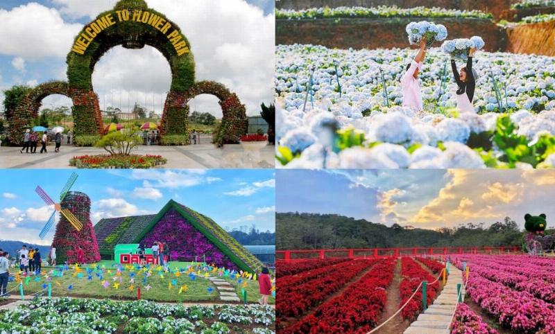 Close-up bông hoa hồng tuyệt đẹp, thể hiện sự tinh tế của cánh hoa và giọt sương mai