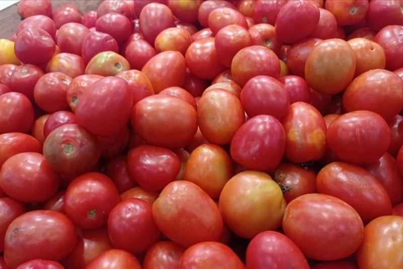 Bí quyết chọn cà chua ngon