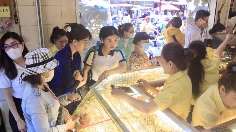 Chăm sóc mi hồng Bà Chiểu tại nhà