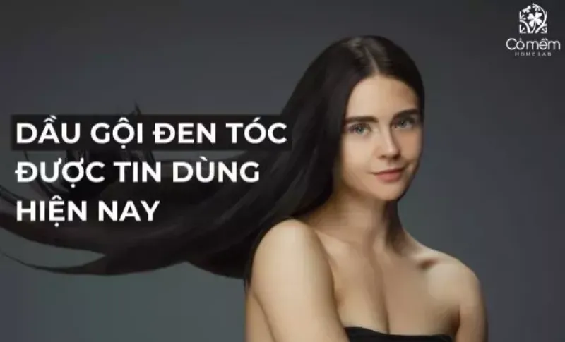 Chọn dầu gội đen tóc