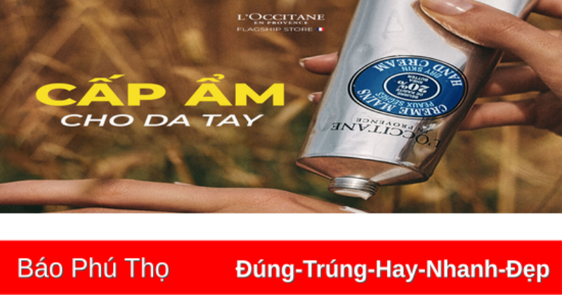 Lựa chọn kem dưỡng da tay L'Occitane