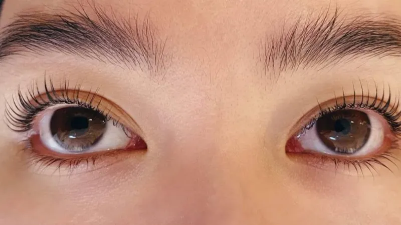 Uốn mi collagen là gì? Phương pháp làm đẹp mi cong tự nhiên kết hợp dưỡng chất.