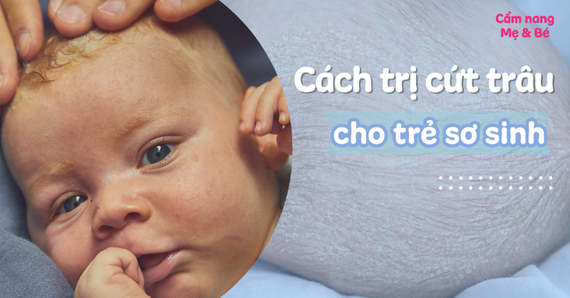 Các bước sử dụng dầu gội trị viêm da tiết bã ở đầu đúng cách: làm ướt, thoa, massage, chờ, xả sạch, tần suất.