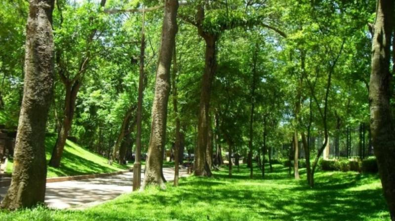 Một góc công viên xanh mát ở Cầu Giấy, nơi người dân tập thể dục và thư giãn