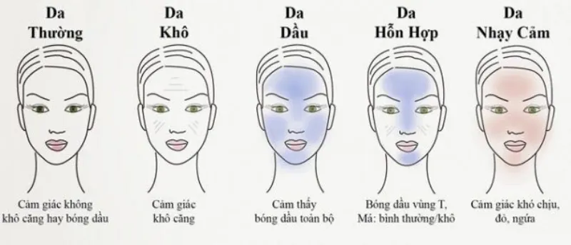 Hình ảnh minh họa các loại da khác nhau (dầu, khô, hỗn hợp, nhạy cảm, mụn) và các loại sữa rửa mặt Nhật phù hợp với từng loại.