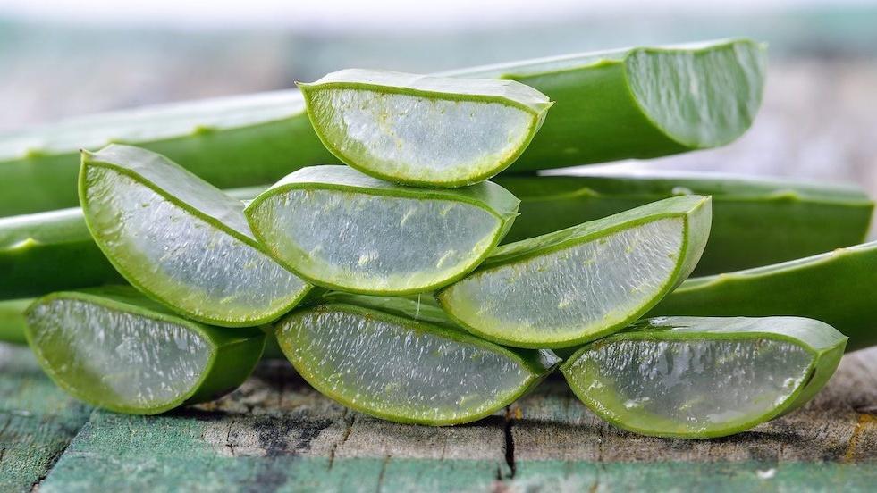 Hình ảnh minh họa một chuyên gia da liễu hoặc dược sĩ đang tư vấn về lợi ích của gel lô hội.