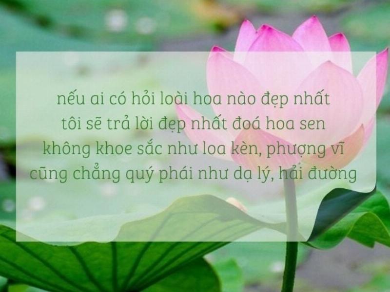 Chuyên gia (minh họa) đang giải thích về đặc tính độc đáo của nước hoa trà trắng