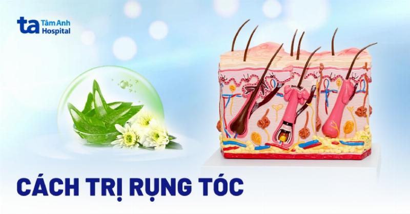 Dầu dừa, nha đam, hành tây - Các nguyên liệu tự nhiên hỗ trợ trị rụng tóc tại nhà hiệu quả