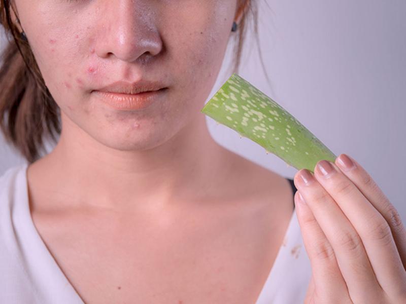 So sánh giữa dưa leo và nha đam - hai nguyên liệu thiên nhiên làm dịu và cấp ẩm cho da.