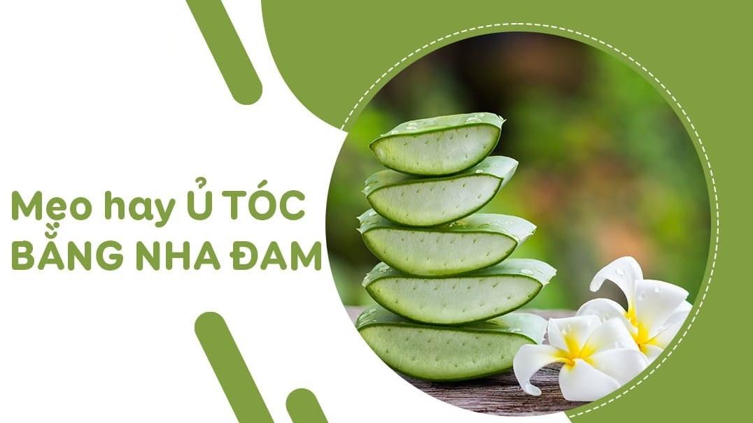 Hình ảnh minh họa gel lô hội được sử dụng để chăm sóc tóc, giúp tóc suôn mượt và khỏe mạnh hơn.