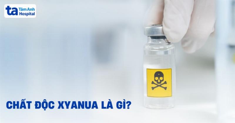 Tìm hiểu hạt ngũ hoa là gì, nguồn gốc và đặc điểm nhận dạng