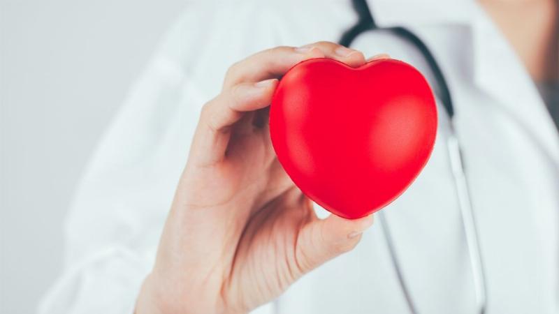Hệ miễn dịch cơ thể con người hoạt động như một lá chắn tự nhiên bảo vệ sức khỏe