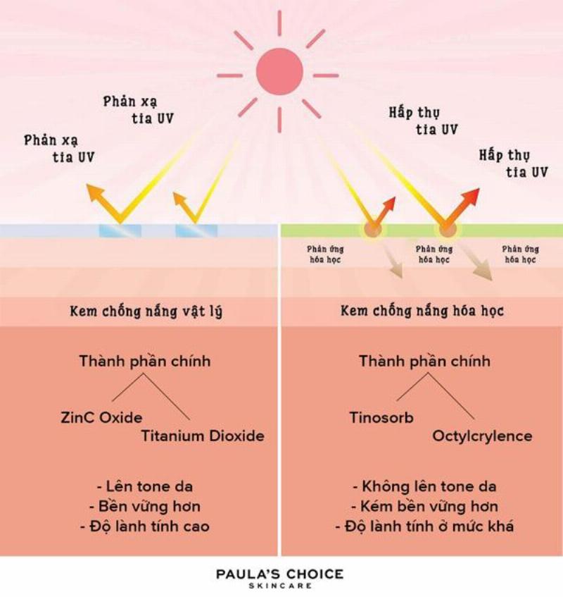 Hình ảnh minh họa sự lựa chọn kem chống nắng nâng tông phù hợp với các loại da khác nhau (dầu, khô, nhạy cảm, mụn, ngăm).