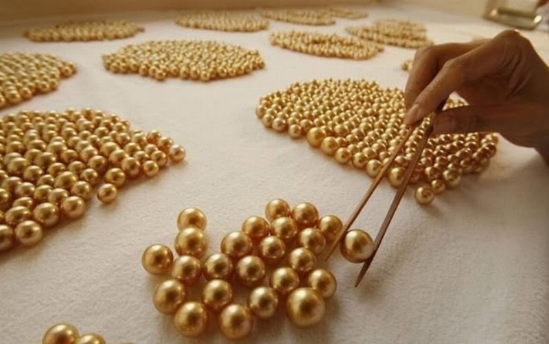 So sánh các đặc điểm bề mặt, độ bóng giữa ngọc trai đen thật và ngọc trai đen giả