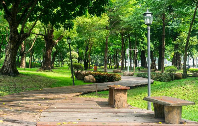 Con đường Phan Huy Ích ở Quận Gò Vấp TPHCM vào buổi sáng sớm, vắng vẻ và yên bình hơn giờ cao điểm.