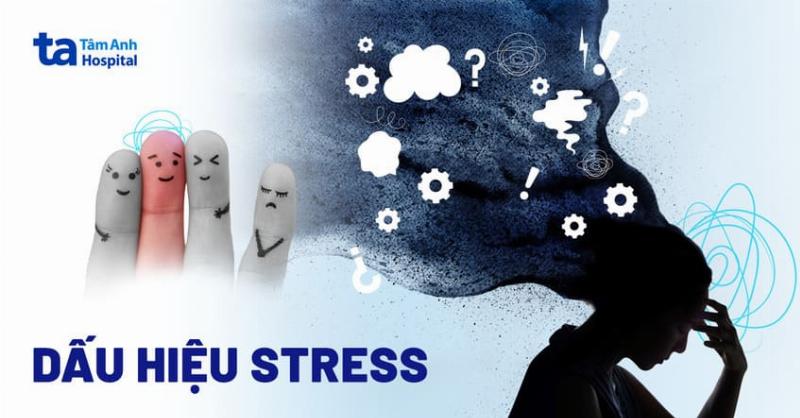 Hình minh họa stress gây mụn lưng và tầm quan trọng của thư giãn