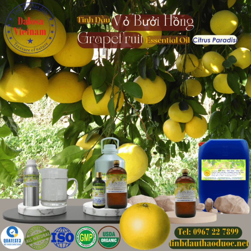 Hinh anh can canh vo buoi xanh muot chua nhung tui tinh dau ly ti, the hien nguon goc cua tinh dau buoi thien nhien