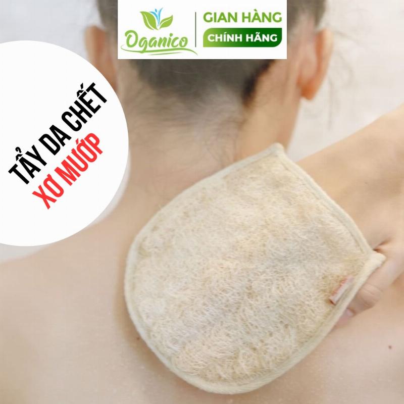 Hình ảnh minh họa việc làm sạch bông tắm hoặc xơ mướp sau khi sử dụng để tẩy tế bào chết body.