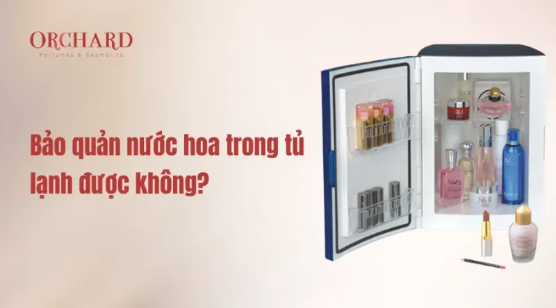 Hình ảnh minh họa cách bảo quản nước hoa đúng cách (ví dụ: chai nước hoa đặt trong hộp, trong tủ tối, tránh ánh nắng trực tiếp)
