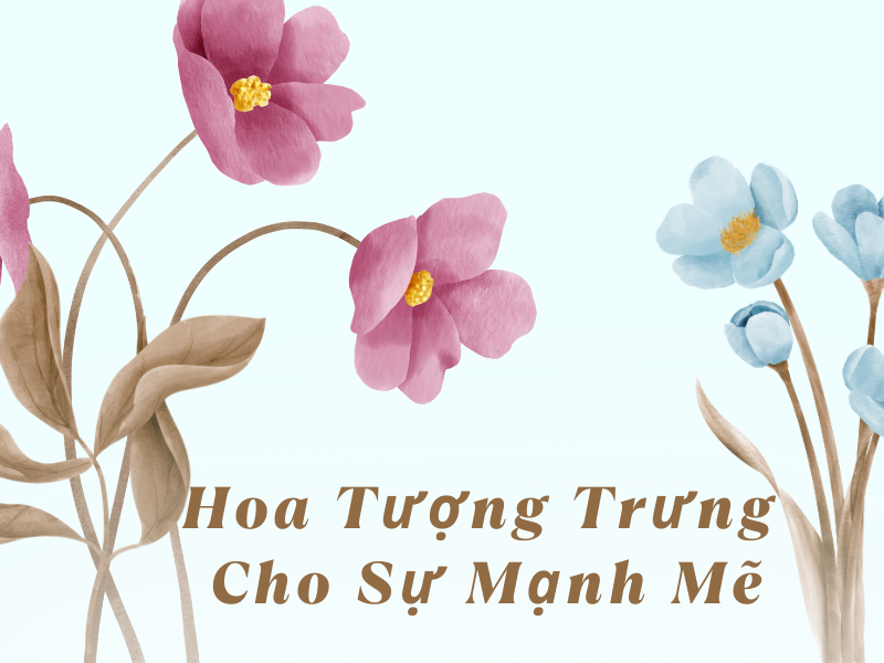 Y nghia mau do tuoi the hien nang luong va suc song manh liet